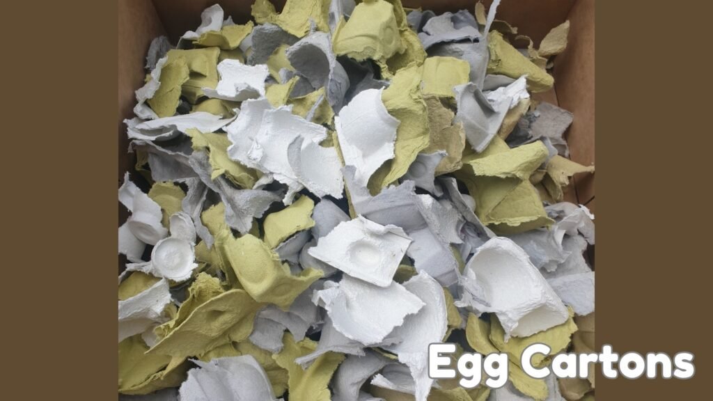 Broken up egg cartons for the compost pile